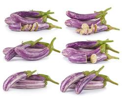 eggplant isolated on a white background photo