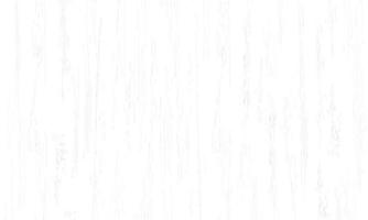 White wood pattern and texture for background. Vector. vector