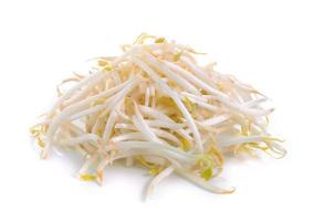 Bean Sprouts on White Background photo