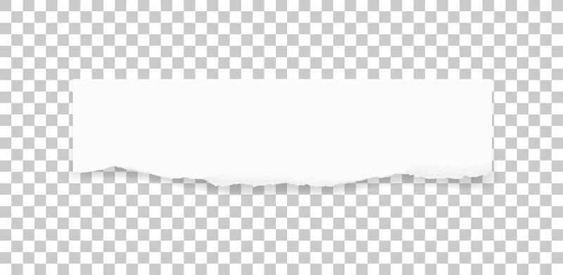 Ripped paper texture. Torn paper edges background. White paper for banner tag background. Vector.