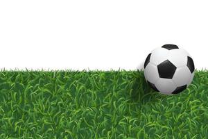 Soccer football on green grass texture background. Vector.