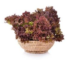 Fresh red lettuce in the basket isolated on a white background photo