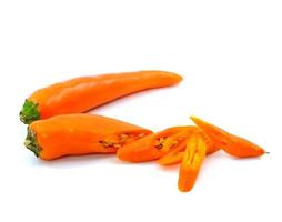 orange pepper on white background photo