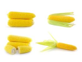 maíz sobre un fondo blanco
