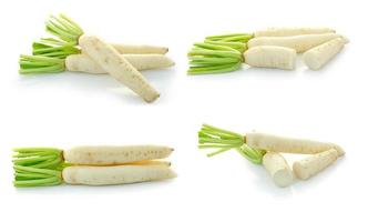 Daikon radishes isolated on white background photo