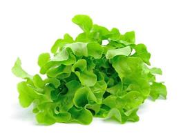 fresh green lettuce leaves isolated on white photo