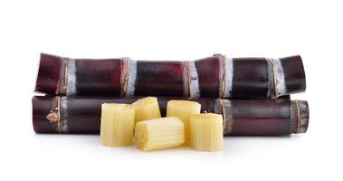 sugarcane on white background photo