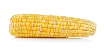 fresh corn on white background photo