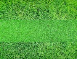 Green grass background texture photo