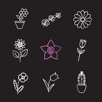 Flowers chalk icons set. Crocus, rose, narcissus head, chamomile, sunflower, orchid, cactus in flowerpot, poppy, tulip. Isolated vector chalkboard illustrations
