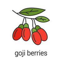 Goji berries color icon. Flavoring, seasoning. Goji tree branch. Isolated vector illustration