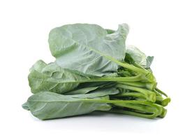 chinese broccoli on white background photo