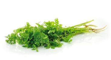 Fresh organic raw coriander leaf isolated on white background. Culinary aromatic herb. photo