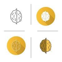 Opened walnut icon. Flat design, linear and color styles. Hazelnut. Isolated vector illustrations