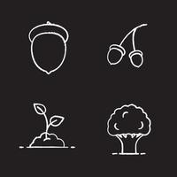 Conjunto de iconos de tiza forestal. roble y fruto, brote en crecimiento. ilustraciones de pizarra vector aislado