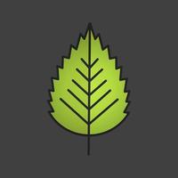 Birch leaf color icon. Forest tree leaf. Isolated vector illustration