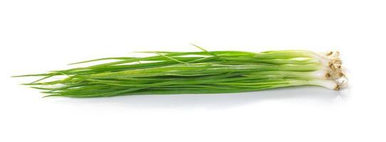 Green onion isolated on the white background photo