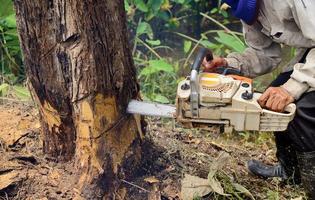 hombre con motosierra cortando el árbol foto