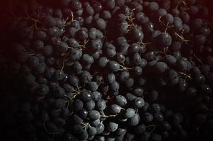 Black Grapes Background and sunlight photo