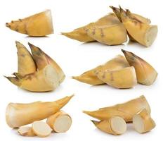 Bamboo shoots on white background photo