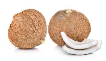 coconut on a white background photo