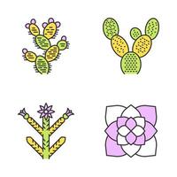 Desert plants color icons set. Exotic flora. Bunny ear cactus, prickly pear, cholla, ghost plant. American succulents. Isolated vector illustrations