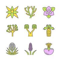 Conjunto de iconos de colores de plantas del desierto. flora exótica. Yucas, cactus, palmeras, agave, arbusto. Plantas decorativas resistentes a la sequía. ilustraciones vectoriales aisladas vector