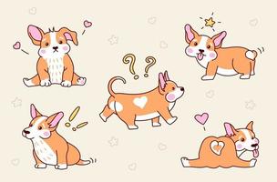 conjunto de lindo cachorro corgi en diferentes poses. ilustración vectorial en estilo de dibujos animados vector