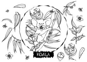 Vector black and white illustration of koala with eucalyptus leaves in doodle style. All objects are isolated