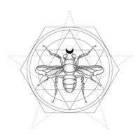 Mystical illustration with an insect. Line art for tattoo design. Outline vector