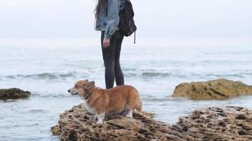 Mujer joven con perro corgi cerca del mar video
