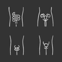 Healthy human organs chalk icons set. Intestines and urinary bladder in good health. Functioning men and women reproductive systems. Fertility. Isolated vector chalkboard illustrations