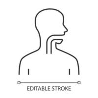 Healthy throat linear icon. Oral cavity, pharynx, esophagus in good health. Upper section of alimentary canal. Thin line illustration. Contour symbol. Vector isolated outline drawing. Editable stroke