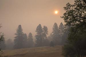 incendio forestal, california foto