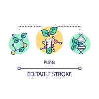 icono del concepto de plantas. selección artificial de signos. crianza de nuevas variedades. Ingeniería genética. Ilustración de línea fina de idea de biotecnología. dibujo de contorno aislado vectorial. trazo editable vector