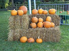 Pumpkins arranged on haystacks in a field photo