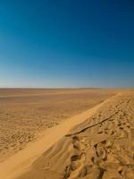 dunas de arena en el desierto foto