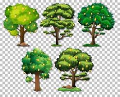 Set of different trees on grid background vector