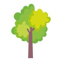 tree greenery foliage nature isolated icon on white background vector