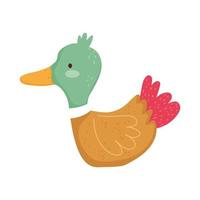 duck cartoon farm animal isolated icon on white background vector