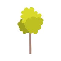 tree foliage nature isolated icon white background vector