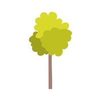 árbol, follaje, naturaleza, aislado, icono, fondo blanco vector