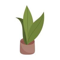 potted plant decoration isolated icon on white background vector