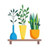 wooden shelf with decorative potted plants isolated icon on white background vector