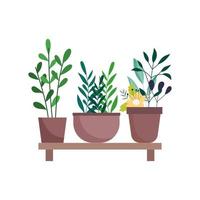 shelf with potted plants flowers decoration gardening isolated icon on white background