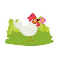 rooster in grass with flowers farm animal cartoon vector
