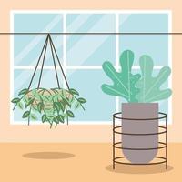 hanging houseplant interior vector