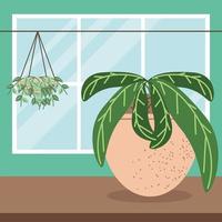 houseplants foliage interior vector