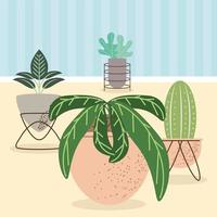 interior decorative houseplants vector