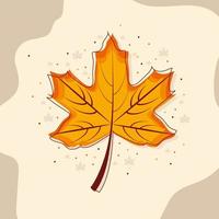 maple leaf autumnal vector